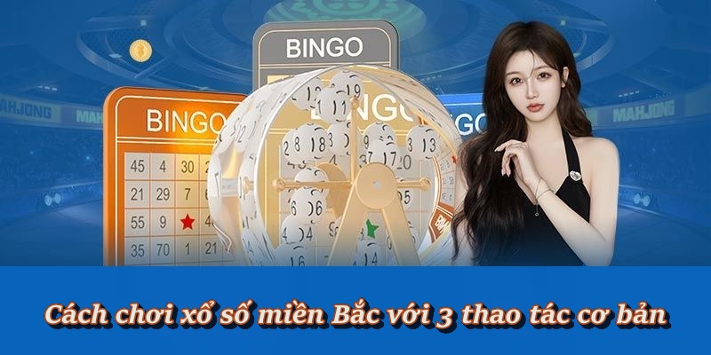 3 bước cơ bản cho tân thủ làm quen xổ số miền Bắc 3 bước cơ bản cho tân thủ làm quen xổ số miền Bắc