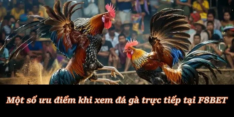 Đa dạng kèo cược, tỷ lệ minh bạch và hấp dẫn Đa dạng kèo cược, tỷ lệ minh bạch và hấp dẫn